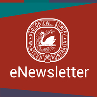 Latest edition of GSWA’s eNewsletter now online