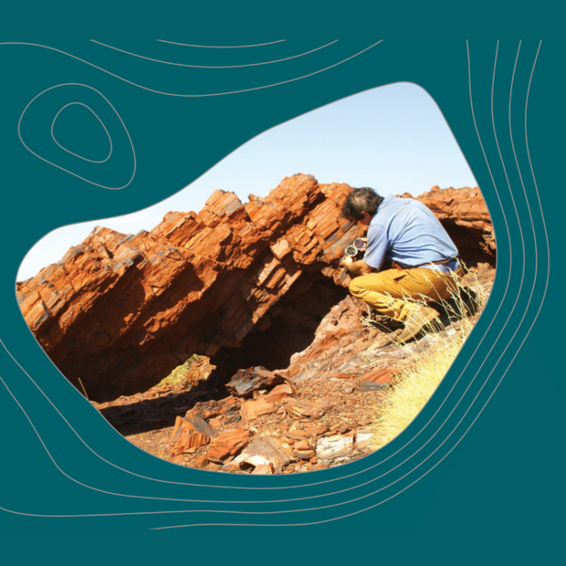 Western Australia’s emerging battery and critical minerals industries 