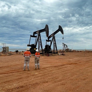 Risks associated with petroleum projects need to be managed in a timely manner. 