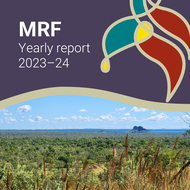 MRF yearly report web story