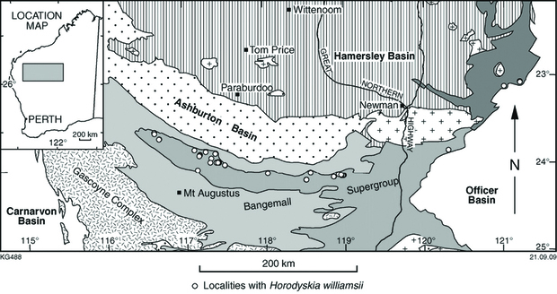 Map of Western Australia, showing the distribution of ‘strings of beads’ fossils; all fall within the Mesoproterozoic Collier Basin