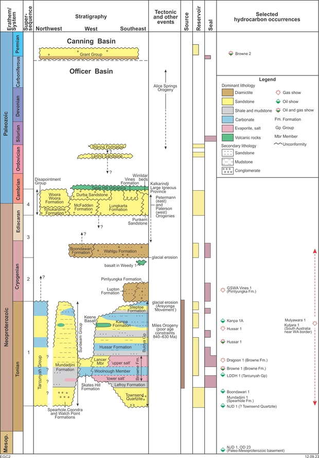 Stratigraphy and petroleum systems of the Officer Basin