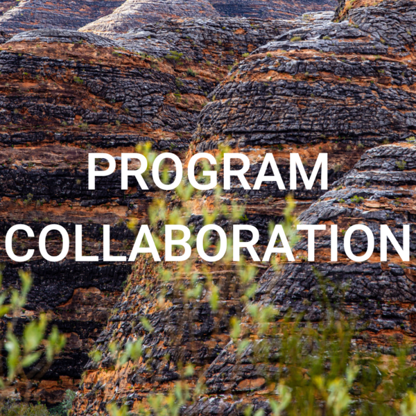 Program Collaboration 