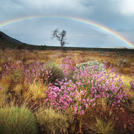 Strengthening environmental compliance and transparency